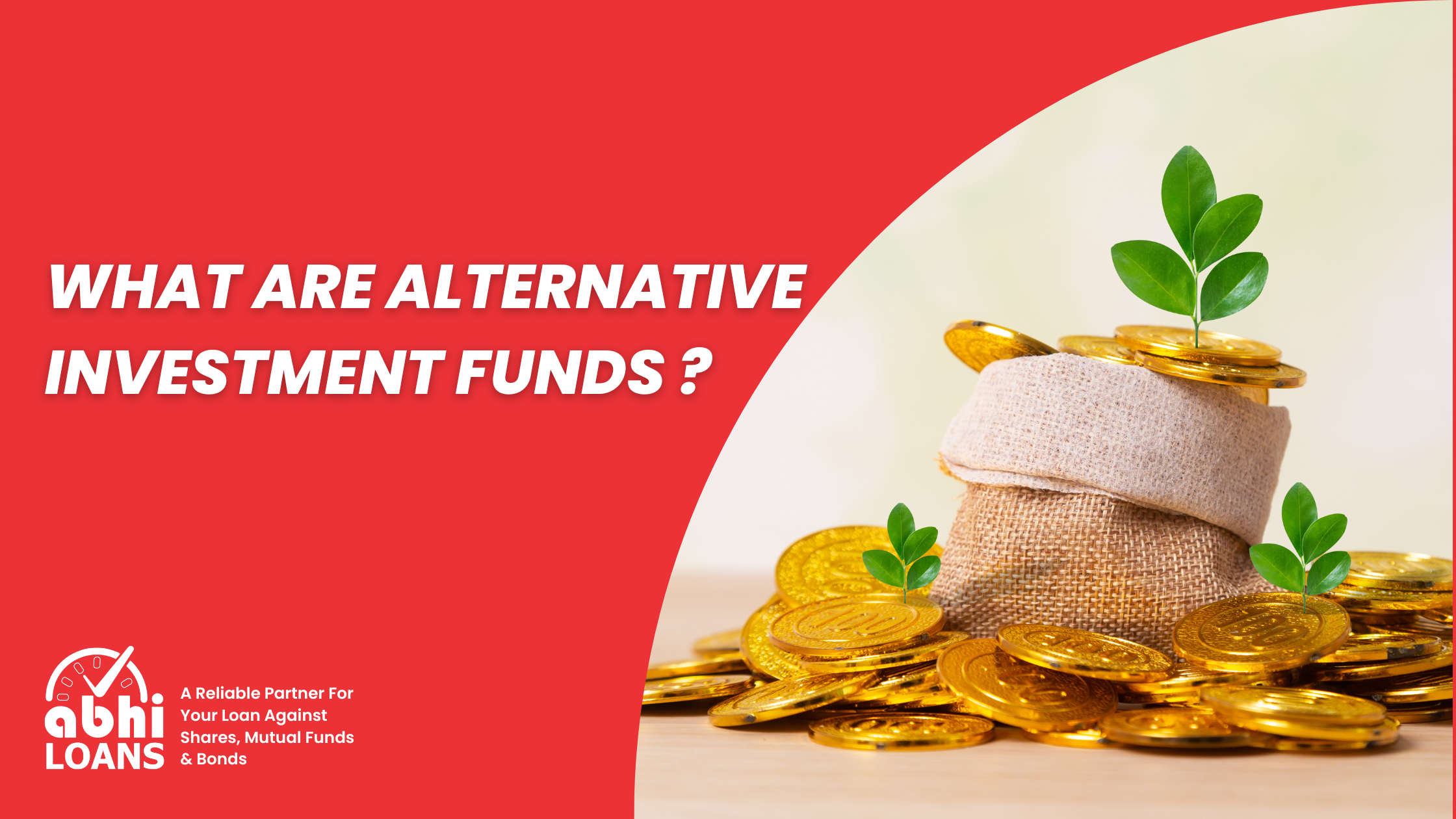 What are Alternative Investment Funds